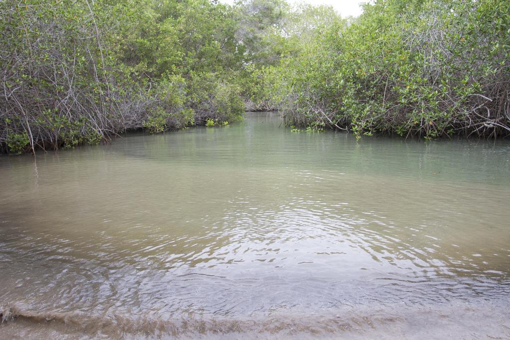 Paraiso De Isabela Puerto Villamil Dış mekan fotoğraf