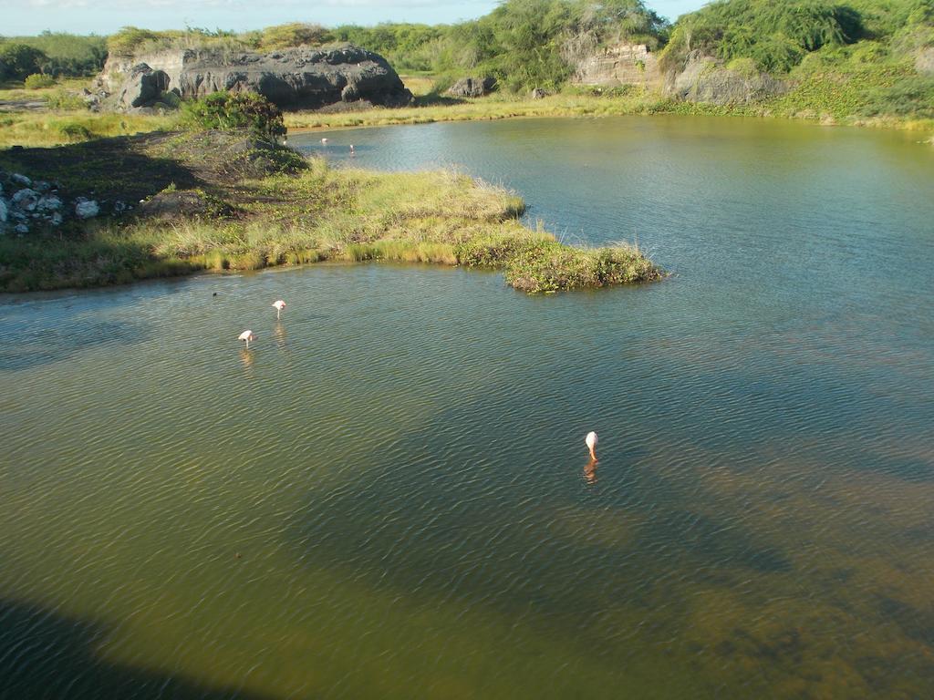 Paraiso De Isabela Puerto Villamil Dış mekan fotoğraf